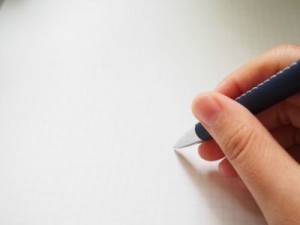 pen-300x225