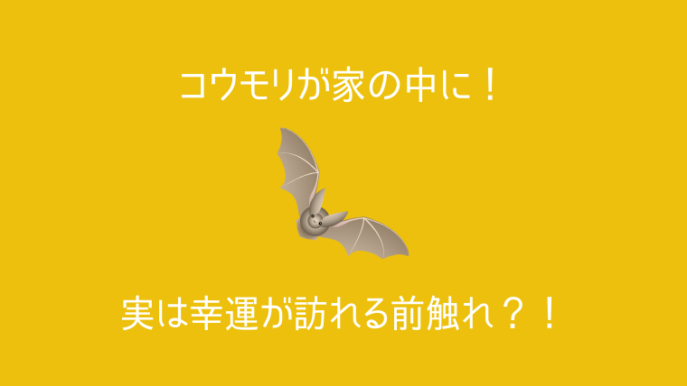 コウモリが家の中に 実は幸運が訪れる前兆かも